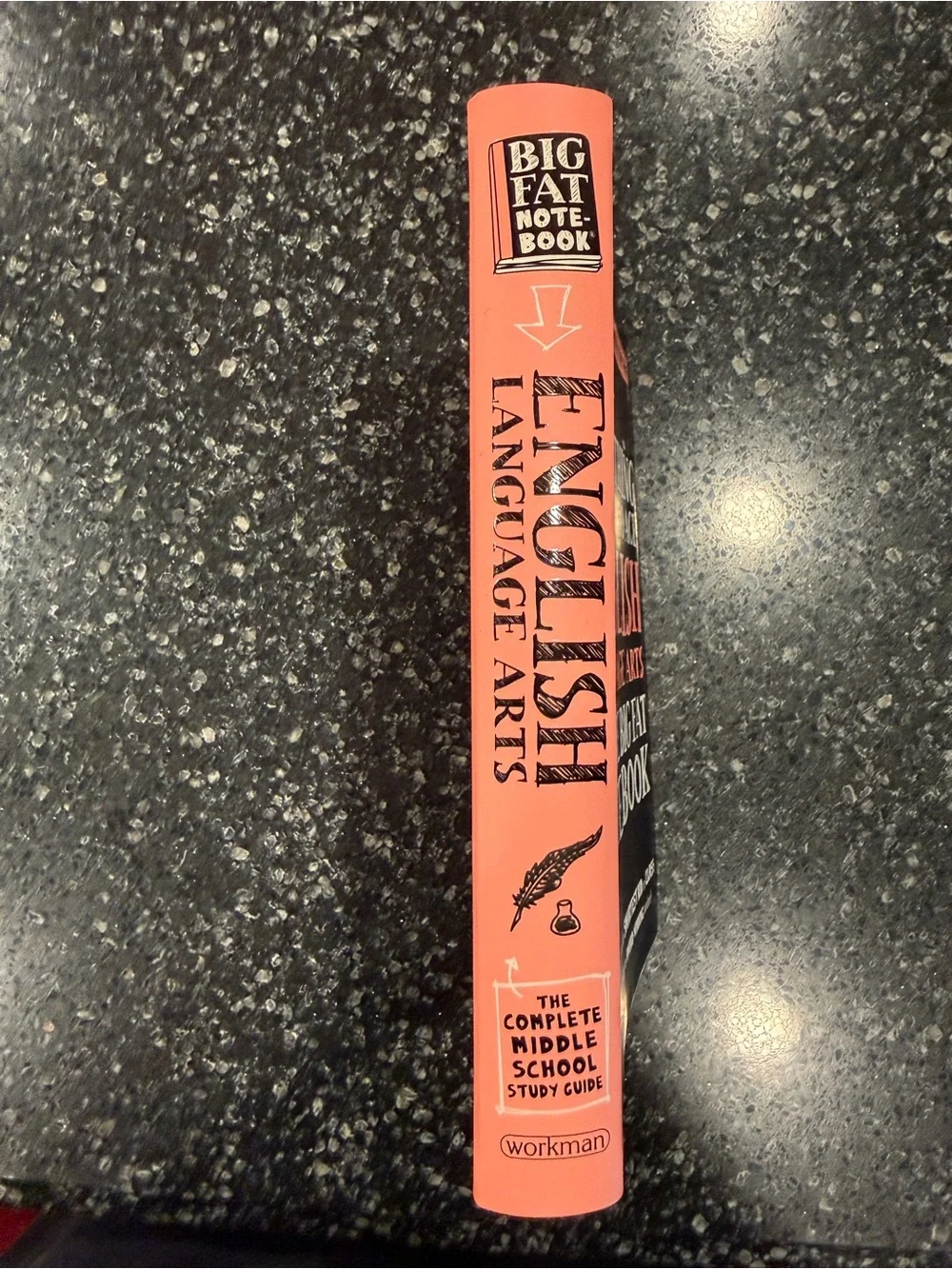 “Everything You Need to Ace English Language Arts” in Middle school Book.  New.